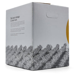 Old Vine Cab Sauv w/Skins Wine Kit - Master Vintner® Sommelier Select® side