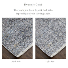 The Rug Corner Feizy Sarrant Transitional Distressed - Gray/Silver/Ivory Sarrant Transitional Distressed - Gray/Silver/Ivory