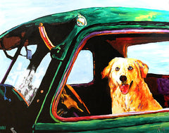 Along for the Ride