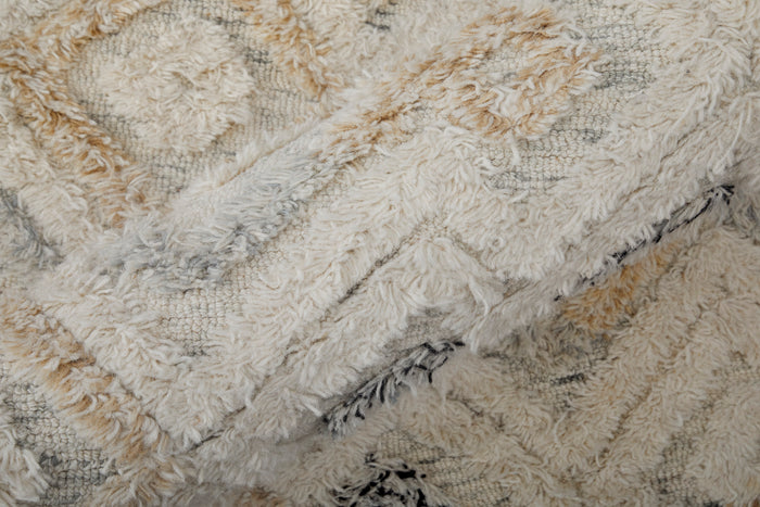 The Rug Corner Feizy Anica Transitional Moroccan - Ivory/Gray/Black