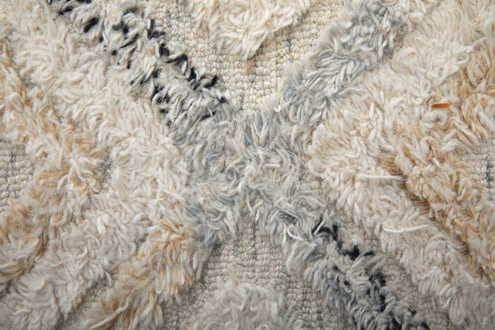 The Rug Corner Feizy Anica Transitional Moroccan - Ivory/Gray/Black