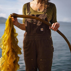 Barnacle Foods Alaskan Kelp Pow - Small Flakes