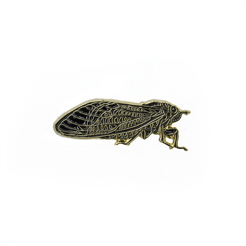 Periodical Cicada Enamel Pin - Blackout by The Roving House