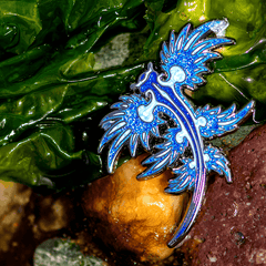 Blue Dragon Nudibranch Pin - Blue Glitter by The Roving House