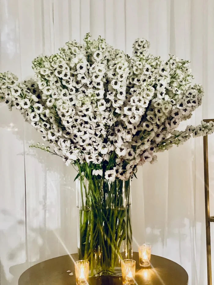 Boomerang Vase