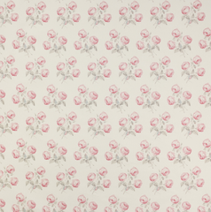Colefax and Fowler Bowood Union Fabric