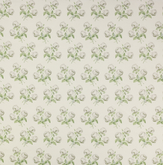 Colefax and Fowler Bowood Union Fabric