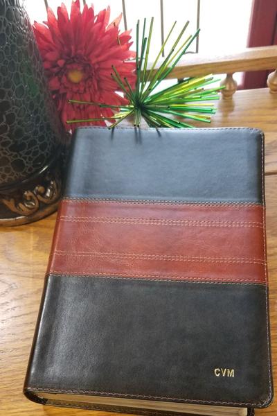 ESV Personal Reference Bible-Deep Brown/Tan Trail Design TruTone