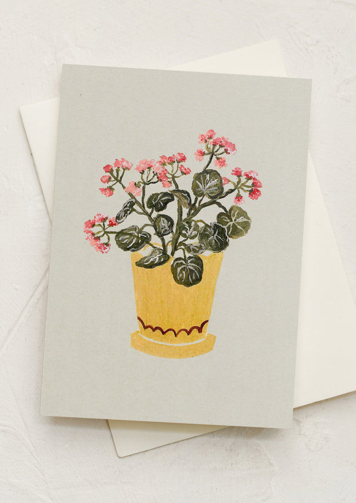 Geraniums