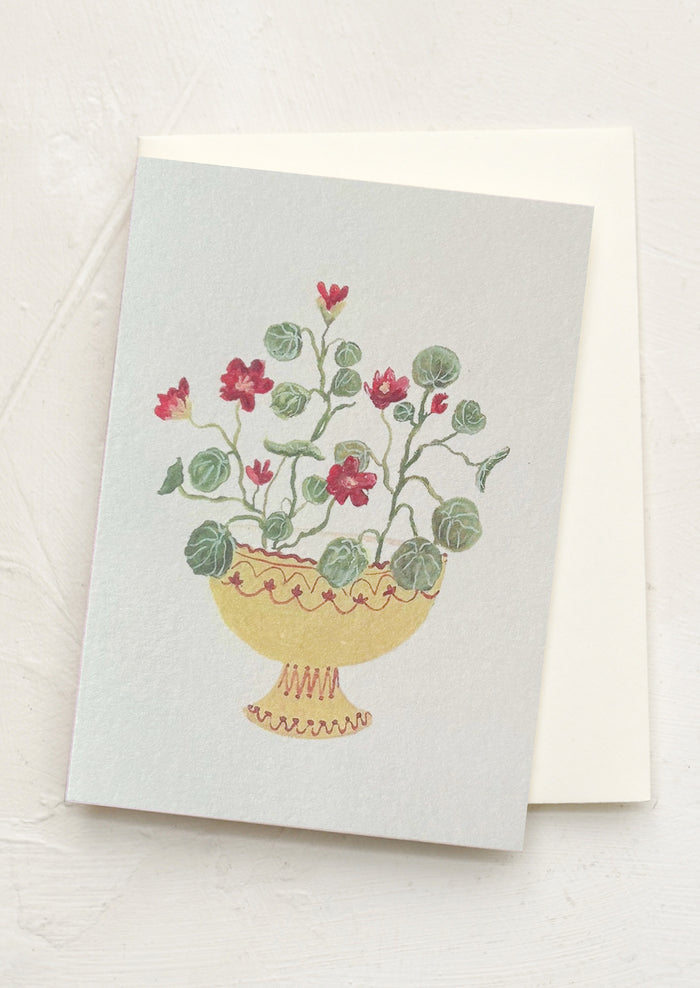 Crimson Nasturtium