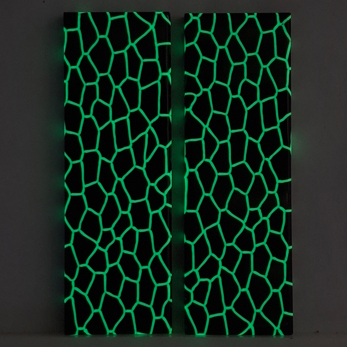 Glow in the Dark Reptile Patterned Pearl Scale Sets