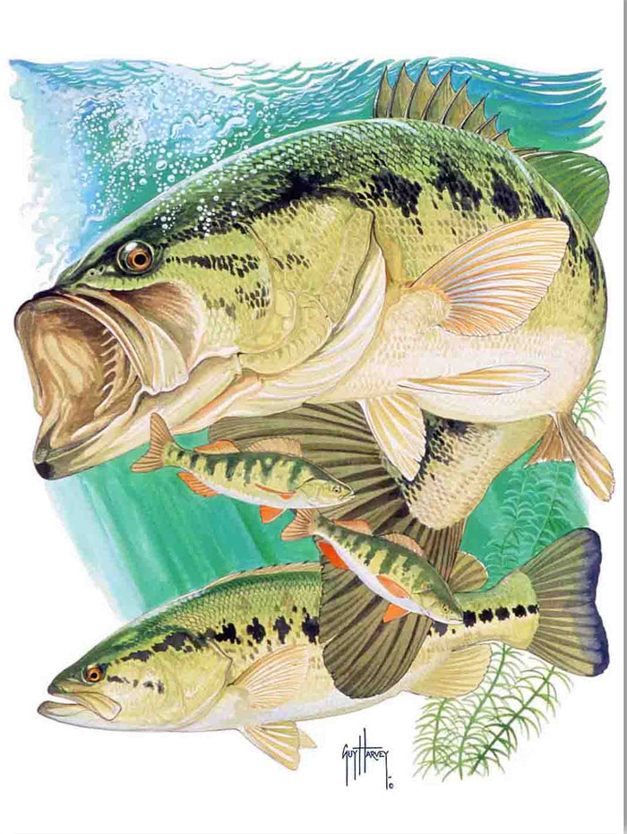 "Largemouth Bass II" Limited Edition Print
