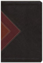NLT Illustrated Study Bible - Brown