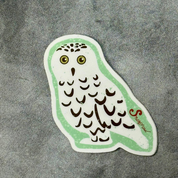 Owl