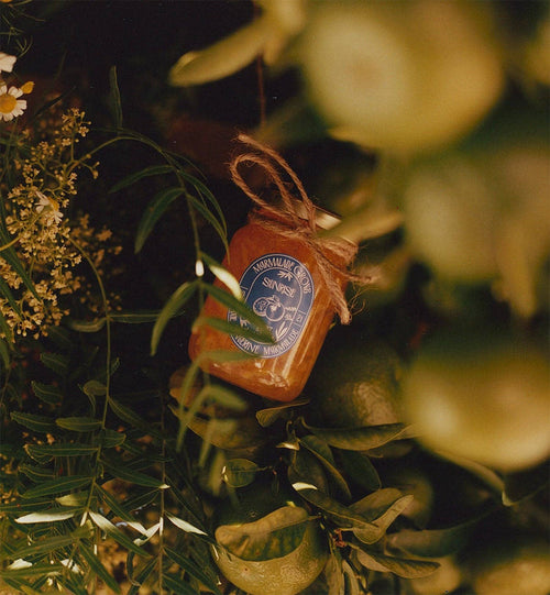 "Sunrise" Pixie Tangerine Marmalade | 5oz - Marmalade Grove