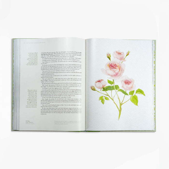 The Secret Garden Art Novel