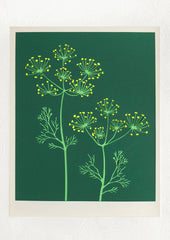 A lasercut art print depicting fennel flowers on dark green background.